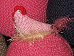 hen pink single close up